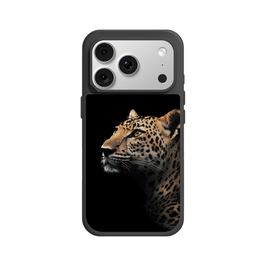 Indochinese Leopard