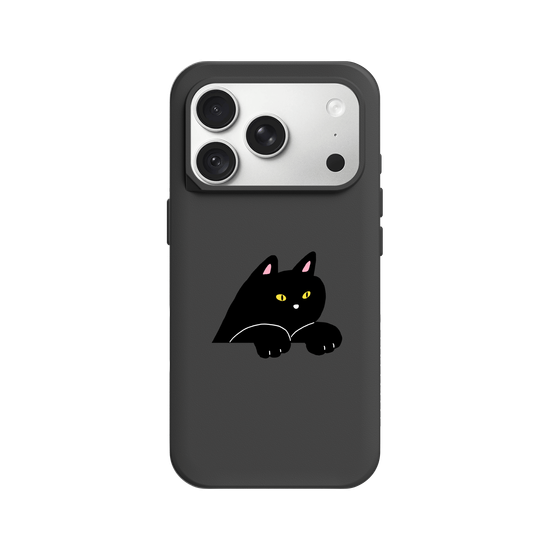 black cat