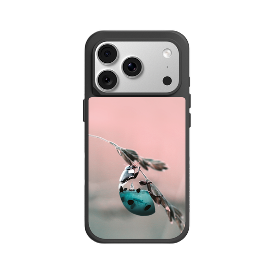Aquanimal Ladybug