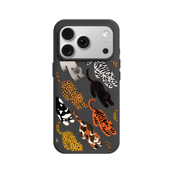 Stretch Time for the Feline Friends
