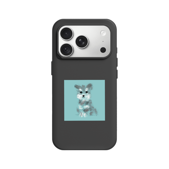 A Schnauzer sitting down