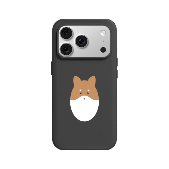 Animals - Shiba Inu Dog