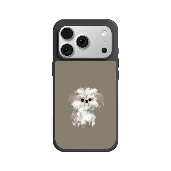 A little Shih Tzu