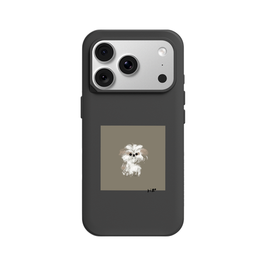A little Shih Tzu