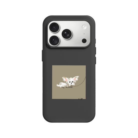small white dog
