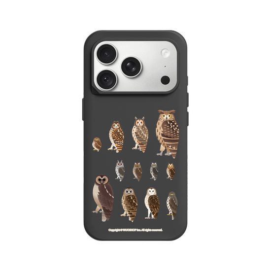 Miniature Field Guide-Owls(Clear)