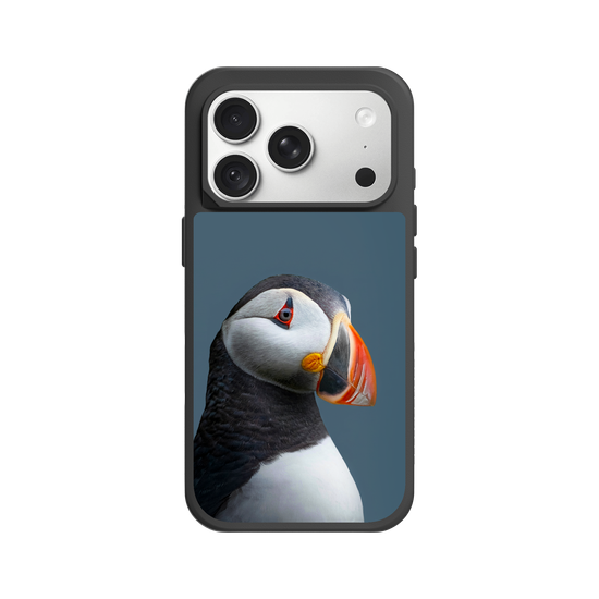 Puffin