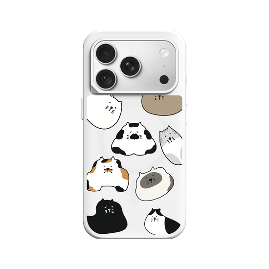 travelpaint.cat funny cats 
