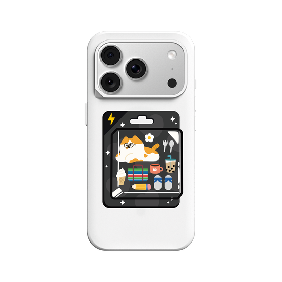 Cat Model(Taiwan) 