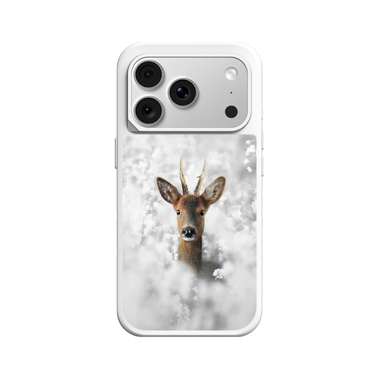 White Roe Deer