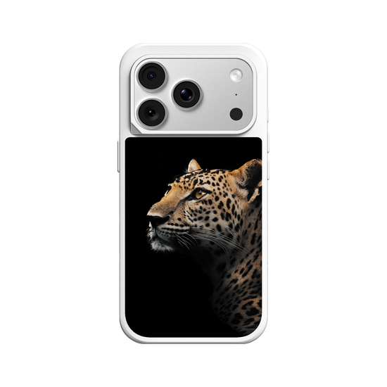 Indochinese Leopard