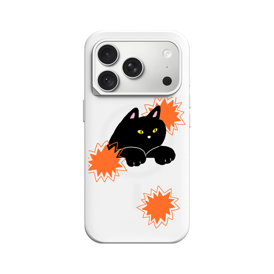black cat
