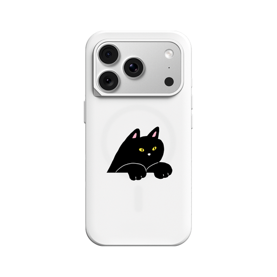 black cat
