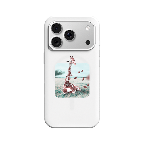 Windy - Transparent Sticker