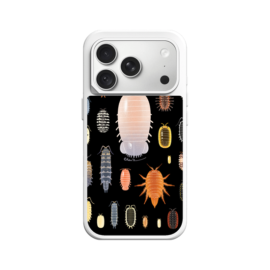 Isopoda