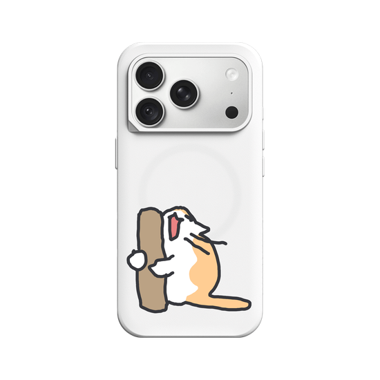 What is the cat doing?