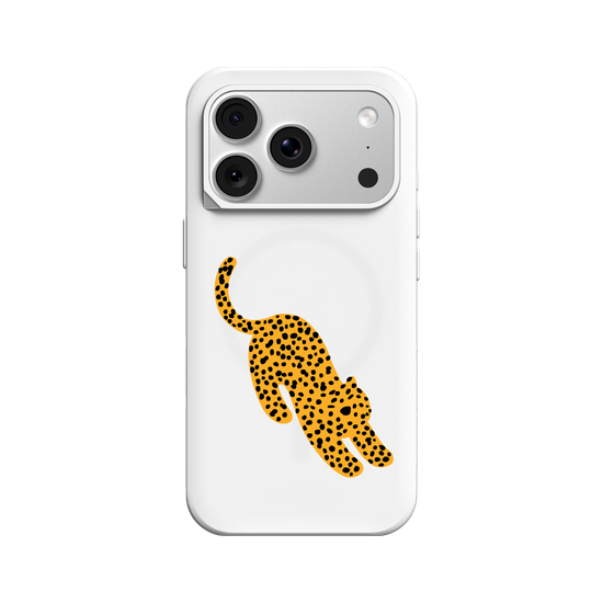 A Stretching cheetah