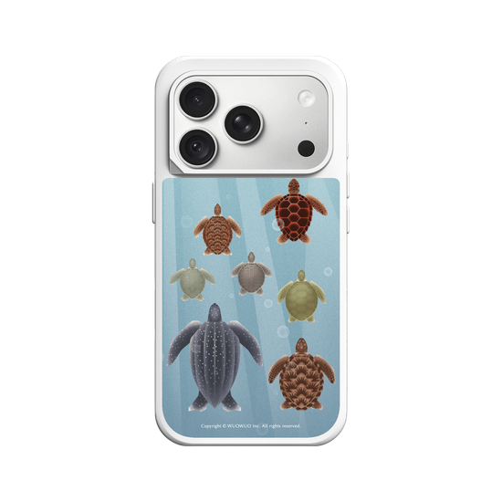 Miniature Field Guide-Sea ​​Turtle(Color)