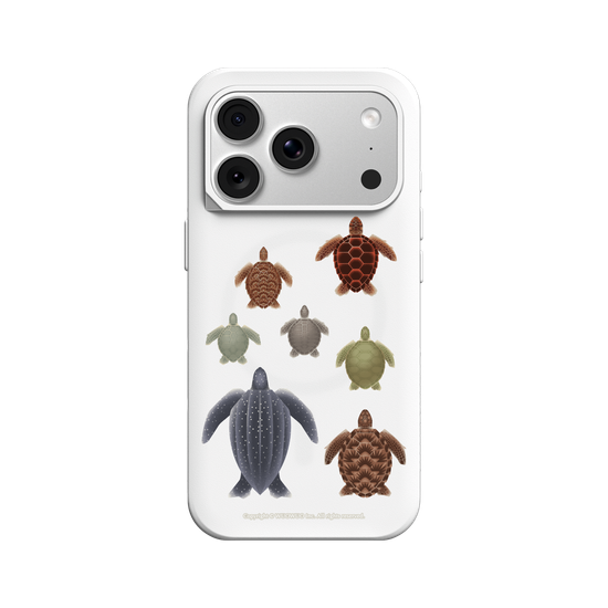 Miniature Field Guide-Sea ​​Turtle(Clear)