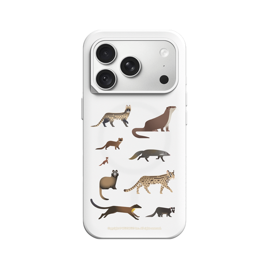 Miniature Field Guide-Carnivora(Clear)