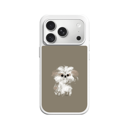 A little Shih Tzu