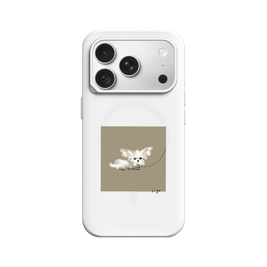 small white dog