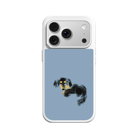 a tiny dachshund
