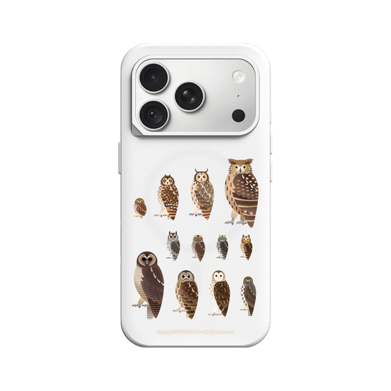 Miniature Field Guide-Owls(Clear)
