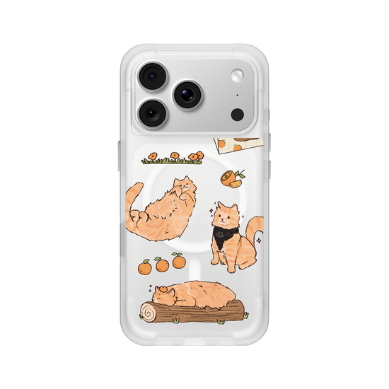 Shooley's orange cat