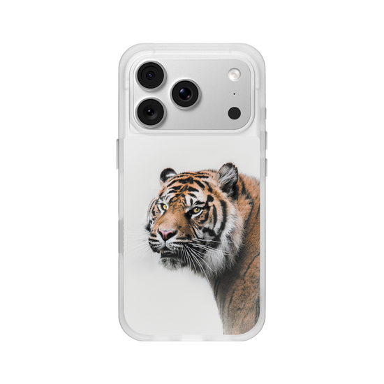 Tigre