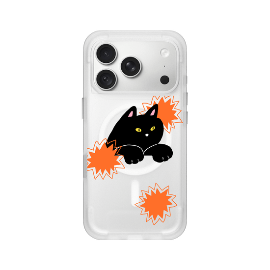 black cat