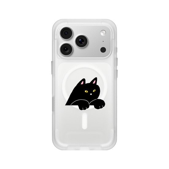 black cat