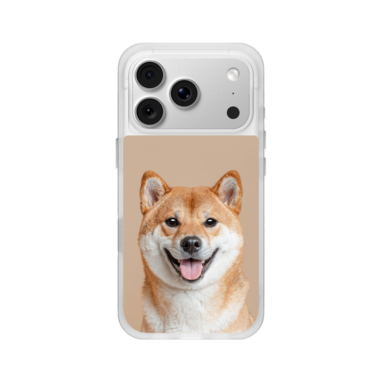 Shiba Inu