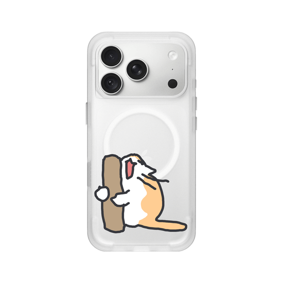 What is the cat doing?