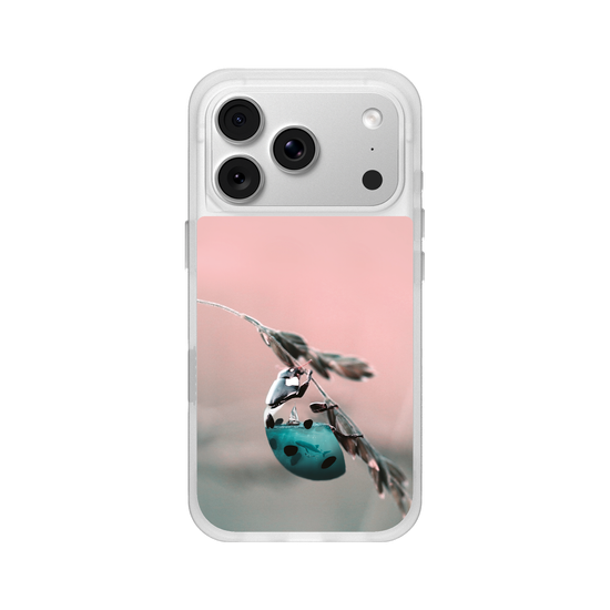 Aquanimal Ladybug