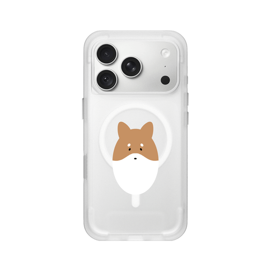 Animals - Shiba Inu Dog