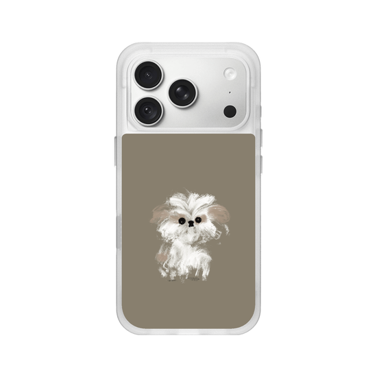 A little Shih Tzu