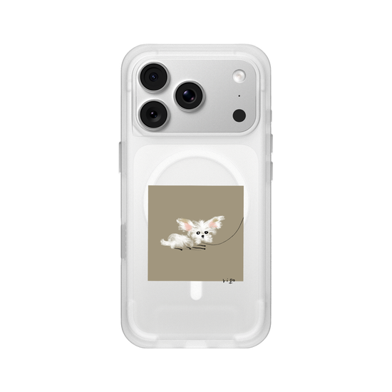 small white dog