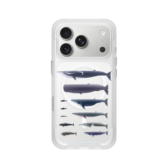 Miniature Field Guide-Whale(Clear)