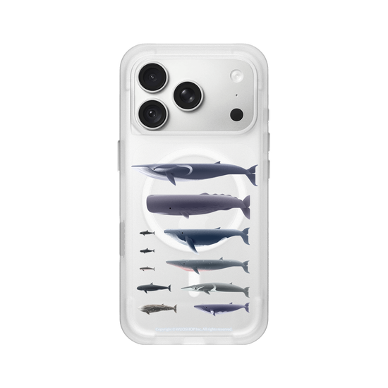 Miniature Field Guide-Whale(Clear)