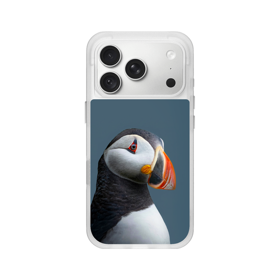 Puffin