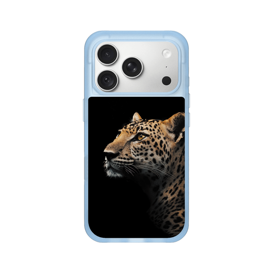 Indochinese Leopard