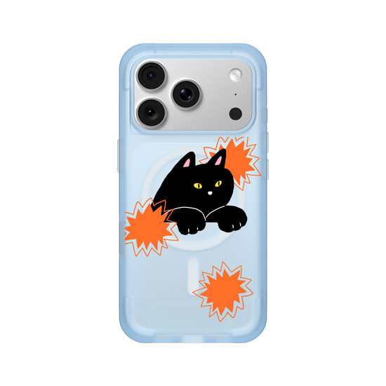 black cat