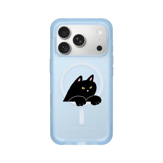 black cat