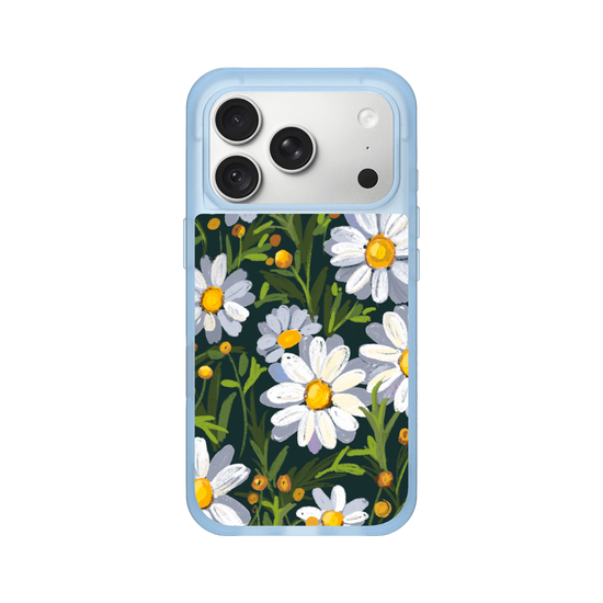 Sunny Daisy field