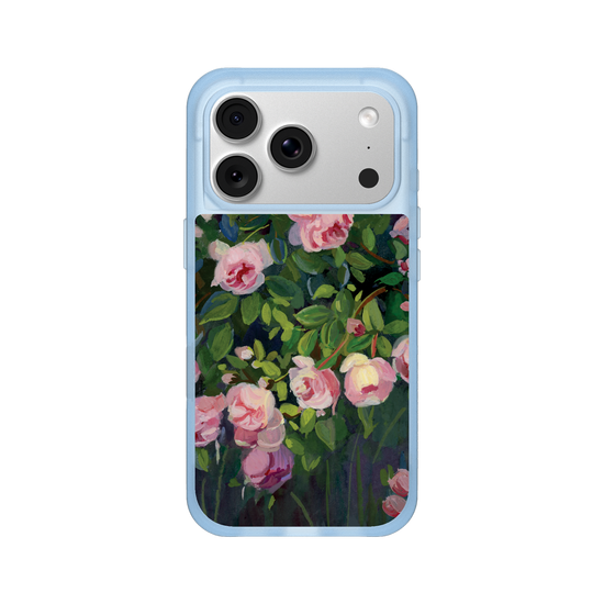 Dreamy Climbing roses