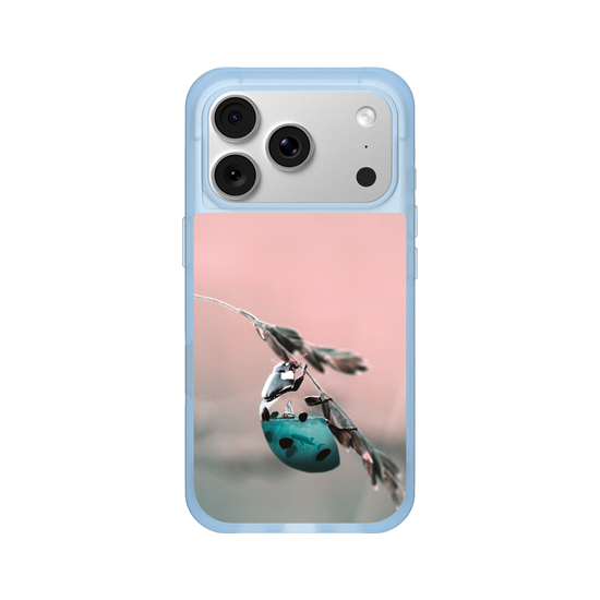Aquanimal Ladybug