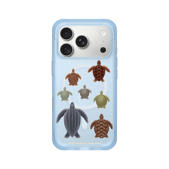 Miniature Field Guide-Sea ​​Turtle(Clear)