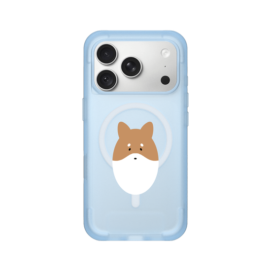 Animals - Shiba Inu Dog