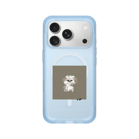 A little Shih Tzu
